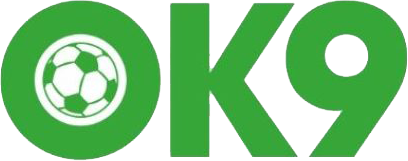 vn0k9.com Logo